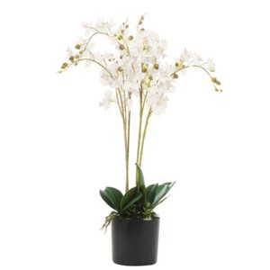 38cm Artificial Orchid in Black Ceramic Bowl Planter LEAF-7411