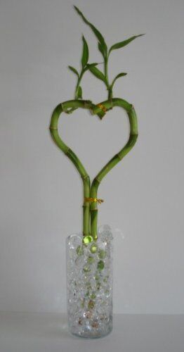 VASE FILLER , Wedding Water Beads Centerpiece decorations - 35 different colors - Picture 33 of 78