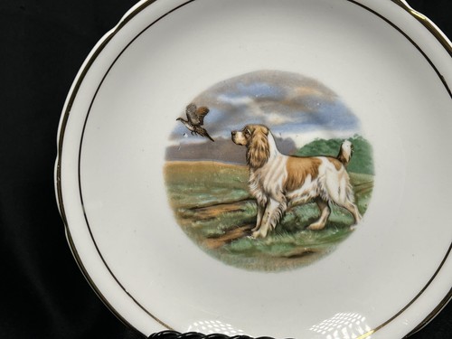 Antique Regency English Springer Spaniel Bone China Teacup & Saucer Rare Set - Picture 10 of 19
