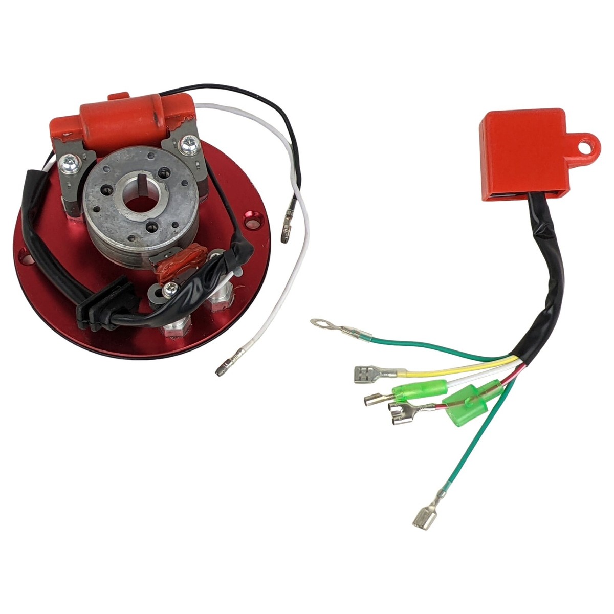 ミニイカタコ　02 Amazon.com: 2 Coil Ignition Magneto Stator Plate for 50 70
