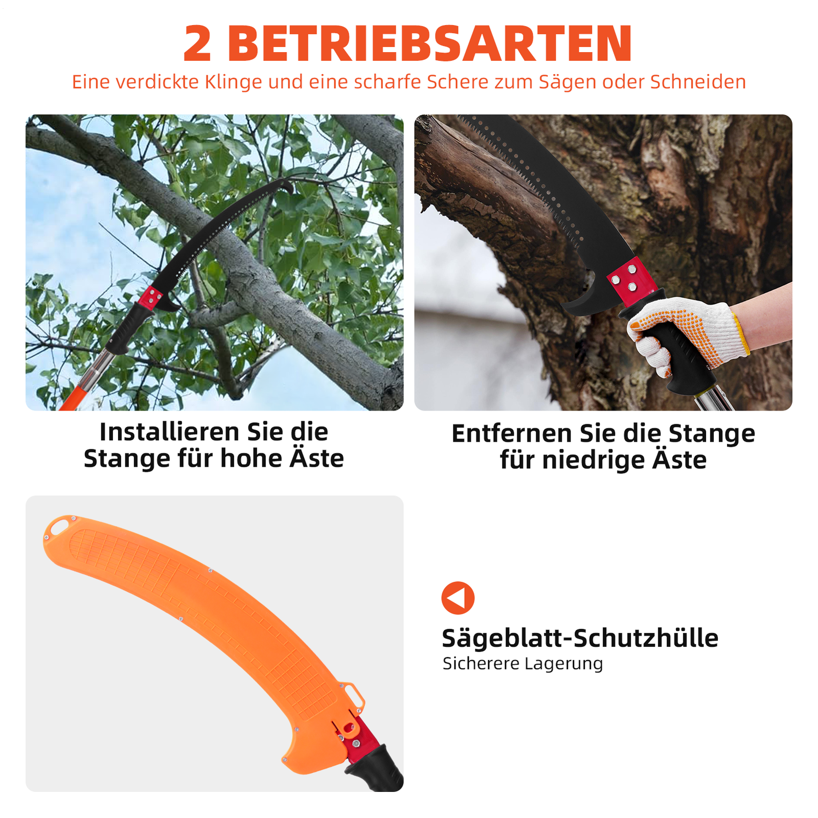 Bild 9 von 12