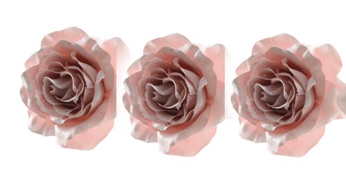 Pink Flowers Christmas Decorations Clip on Tree Beautiful Pastel Pink Roses x 3