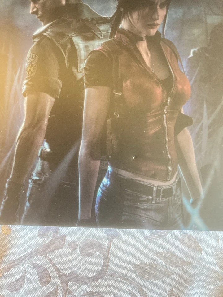 Resident Evil Code: Veronica X (Sony PlayStation 2- PS2) - Costum Steelbook!!!!! - Bild 3 von 4