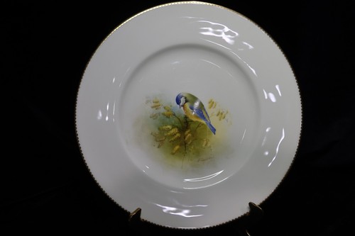Royal Worcester Multi-Motif Birds Bone China 12 Dinner Plates Artist E. Townsend - Picture 19 of 24