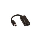 StarTech Mini DisplayPort Female Video Cables & Interconnects
