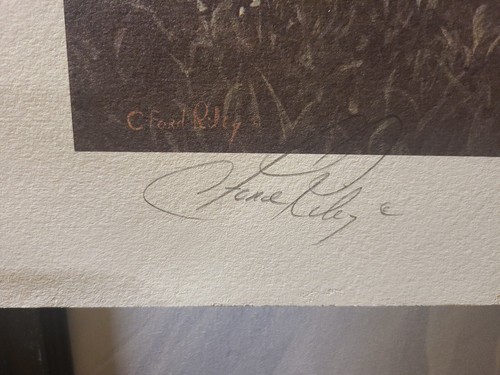 Rare S/N Benefactor Edition " After The Rain" By C. Ford Riley - Picture 5 of 15