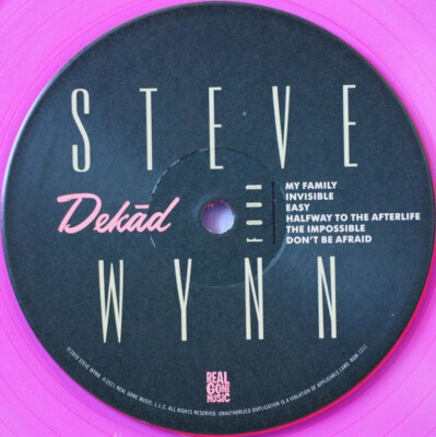 米2discs LP Steve Wynn Dek?d (Rare &amp;amp; Unreleased Recordings 1995 - 2005) RGM1212 Real Gone Music /00660 Steve Wynn - Dek_d--Rare & Unreleased Recordings 1995-2005
