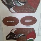 Bild 4 von 9