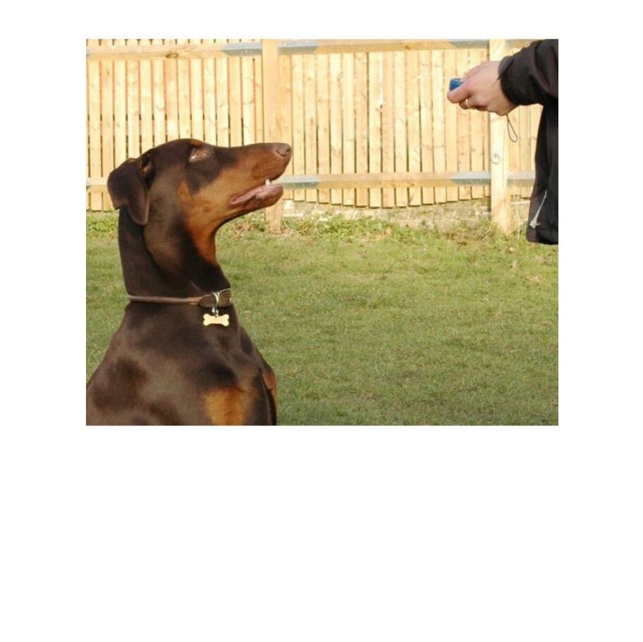 Foto 5 di 6