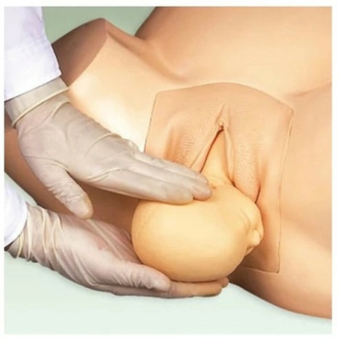 Midwifery Training Simulator,Advanced Vacuum Delivery Simulator - Picture 11 of 11