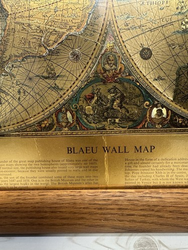 Gold Foiled Blaeu Piscator Wall Map "The New World" Framed & Matte VINTAGE 23x19 - Picture 2 of 12