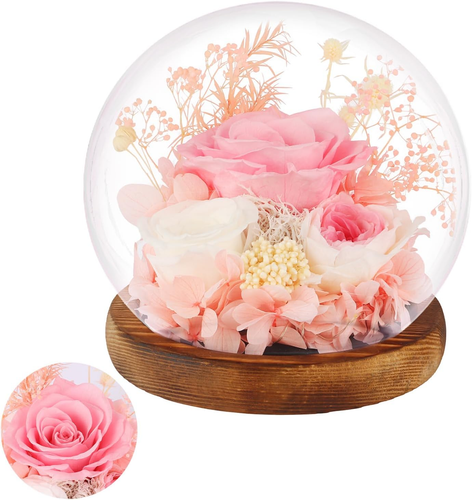 Rosas preservadas flores reales en vidrio regalos para mujeres, mamá, novia, abuela, lon - Imagen 10 de 12