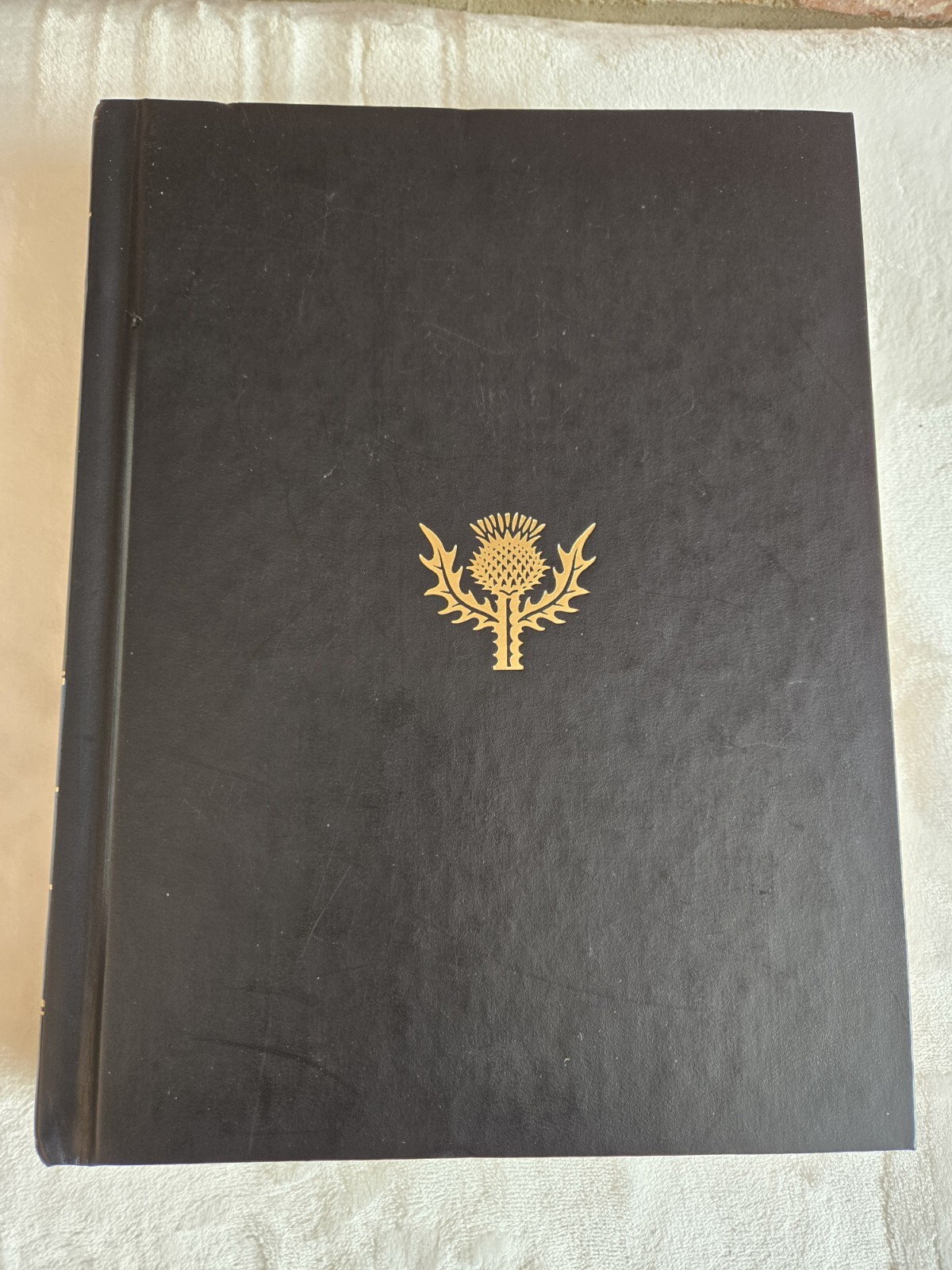 Picture 4 of 6