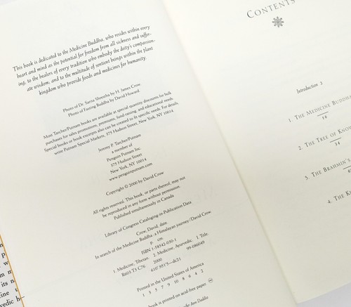 In Search Of The Medicine Buddha by David Crow 2000 HCDJ Health Spiritual Within - Picture 6 of 7