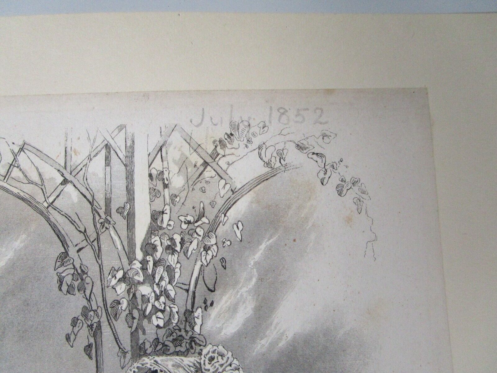 Picture 5 of 9