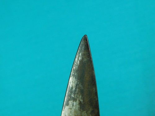 Antique Old US Civil Wr Austrian Import Model 1855 Bayonet Short Sword - Picture 13 of 20