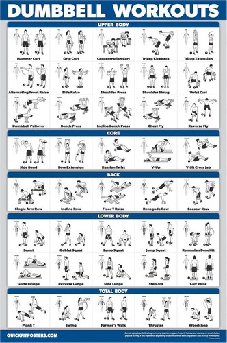 Palace Learning Dumbbell Workout Exercise Poster - Free Weight Body Building | - - Picture 6 of 12