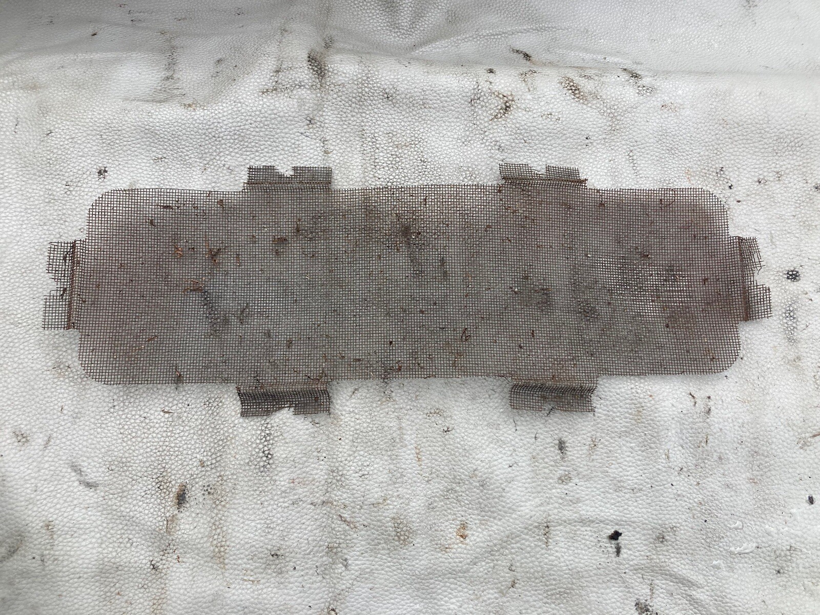 Picture 3 of 5
