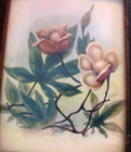Foto 5 di 5