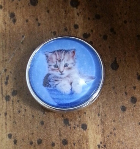 Tabby Kätzchen-wählen Sie Ihren Druckknopf-passt Noosa/Ingwer/Chunk-Kombiversand - Bild 9 von 17