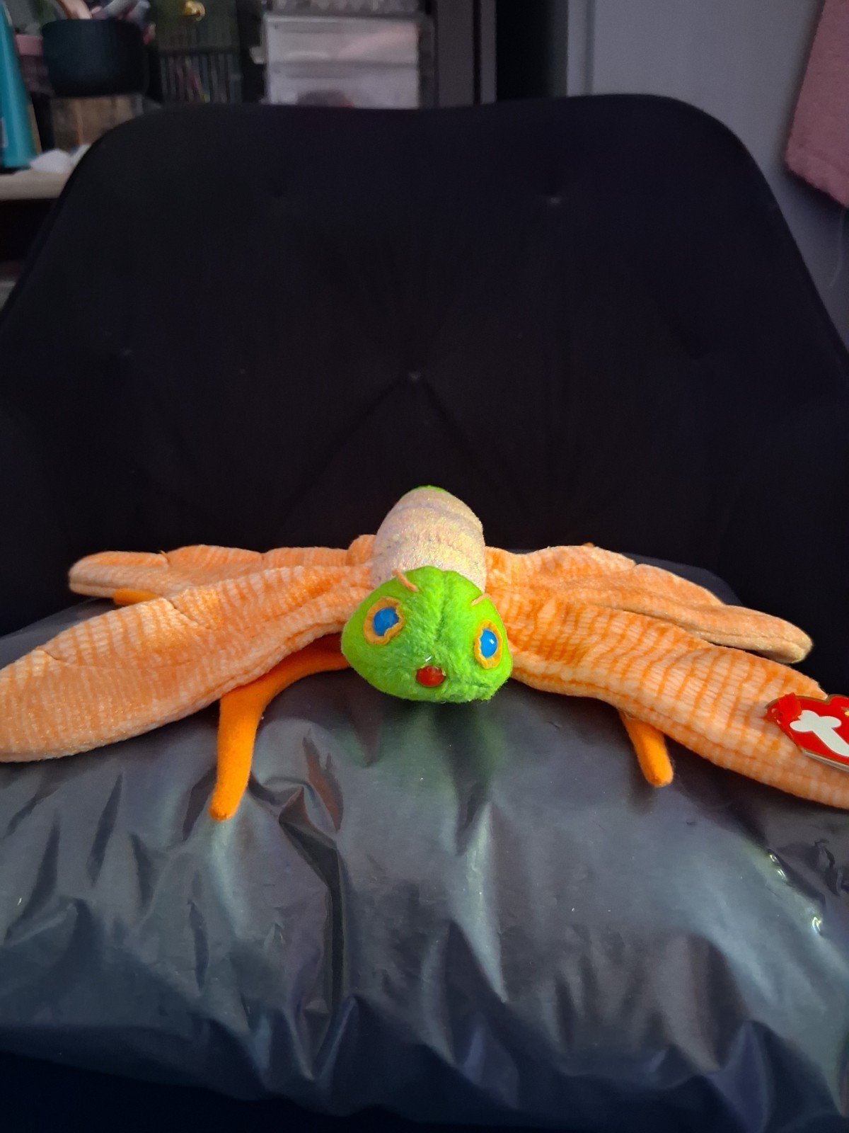 Picture 1 of 12