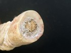 Bild 4 von 9