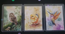 3 ACEOs Original Hand Painted Watercolor Hummingbird Chick Owl, Signed By Artist