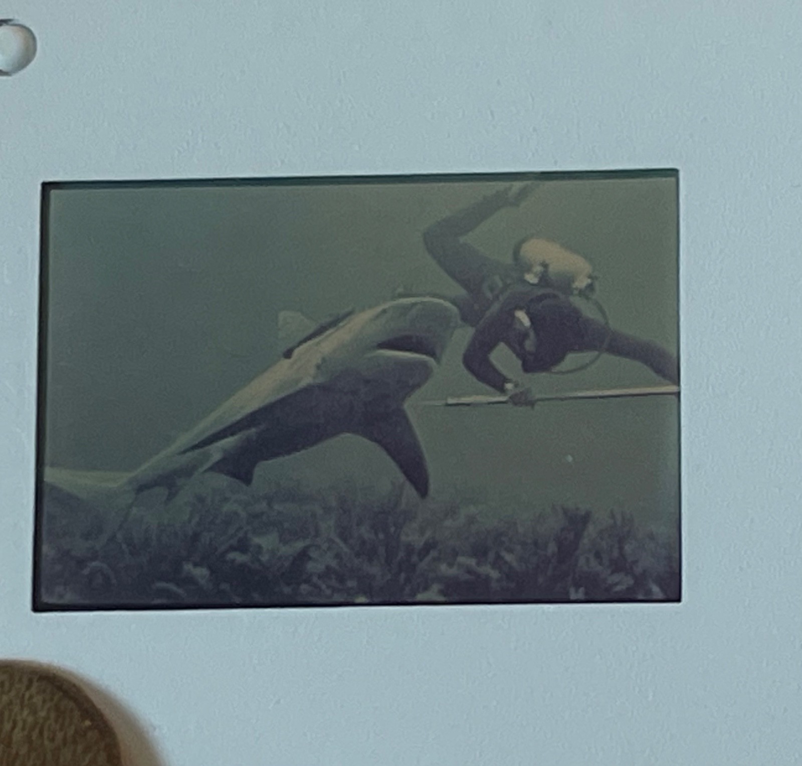 Picture 4 of 17