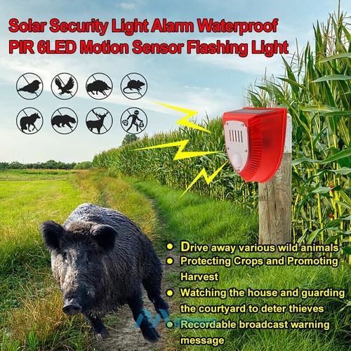 Solar Motion Sensor Alarm Emits Loud Dog Barking & Gunshot Sounds up to 130db - Picture 38 of 96