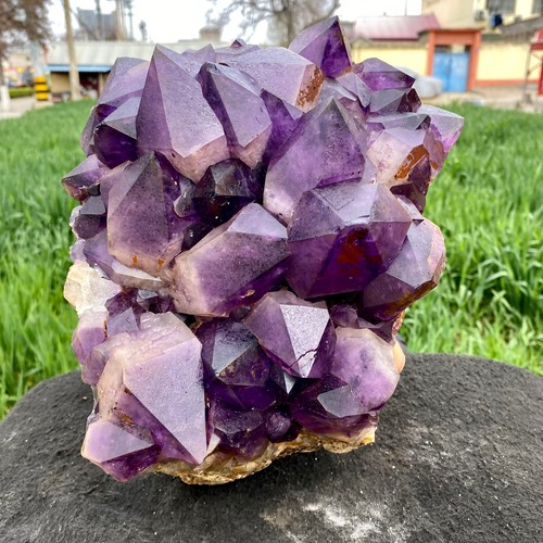 18,4 Pfund natürlicher Amethyst Cluster Quarz Kristall Rückgrat Mineral Probe Heilung - Bild 3 von 13