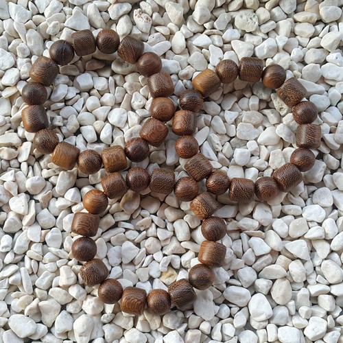 Beautiful Stripes Gliricidia Sepium Bracelet Mexican Lilac Mother of Cocoa 12 MM - Picture 4 of 6