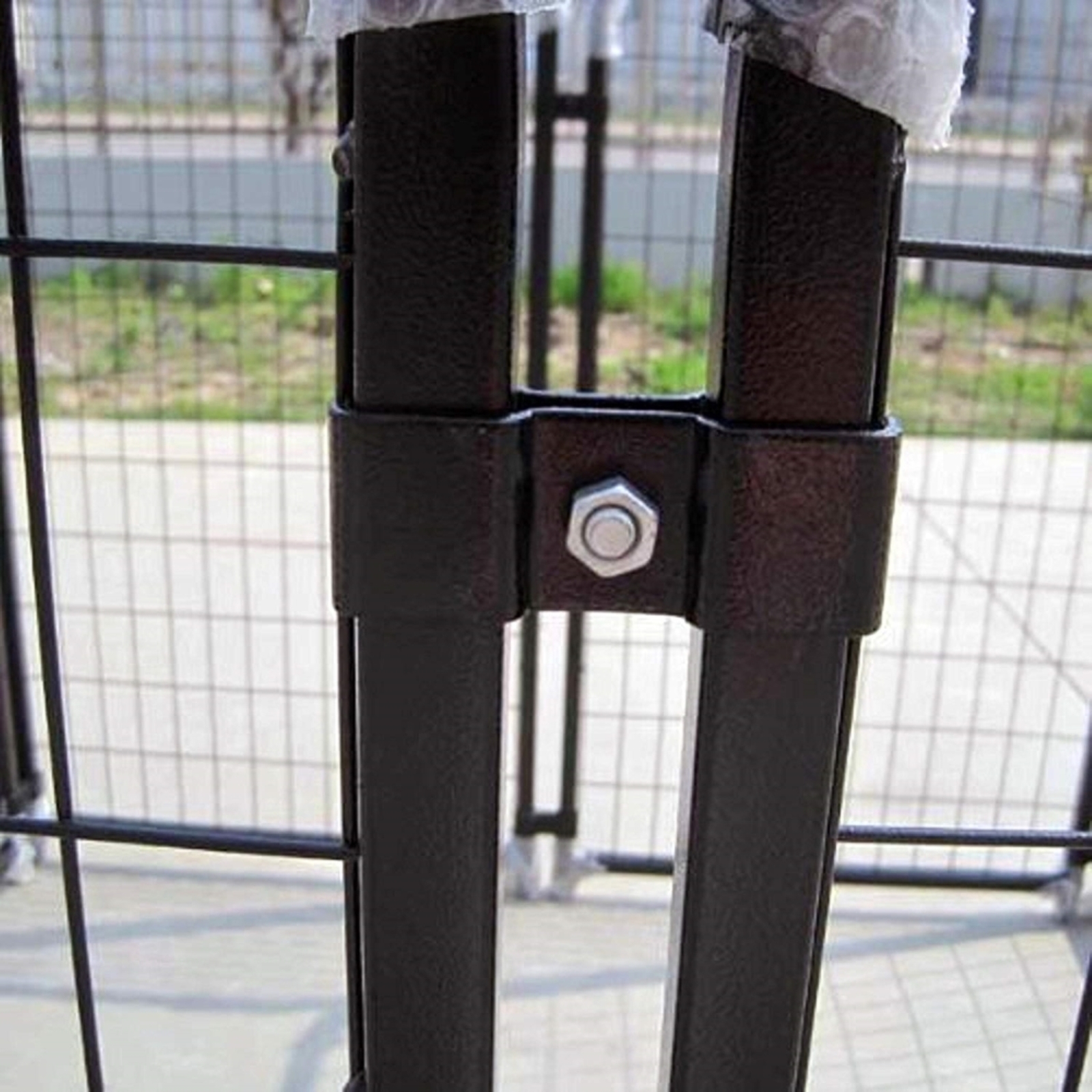 Picture 9 of 12