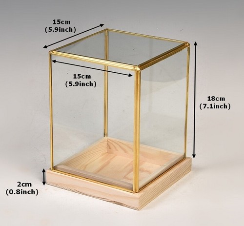 Figures Display Case Copper Trim Wooden Base Glass Doll Art Dust Protect Cover - Picture 9 of 17