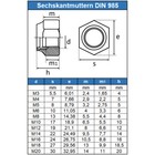 Bild 12 von 13