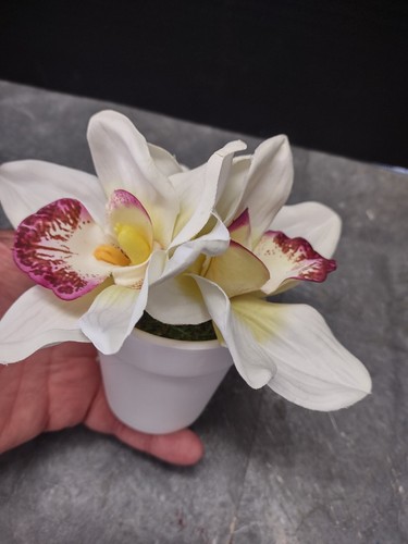 Cymbidium orchid table favor or decoration - Picture 3 of 6