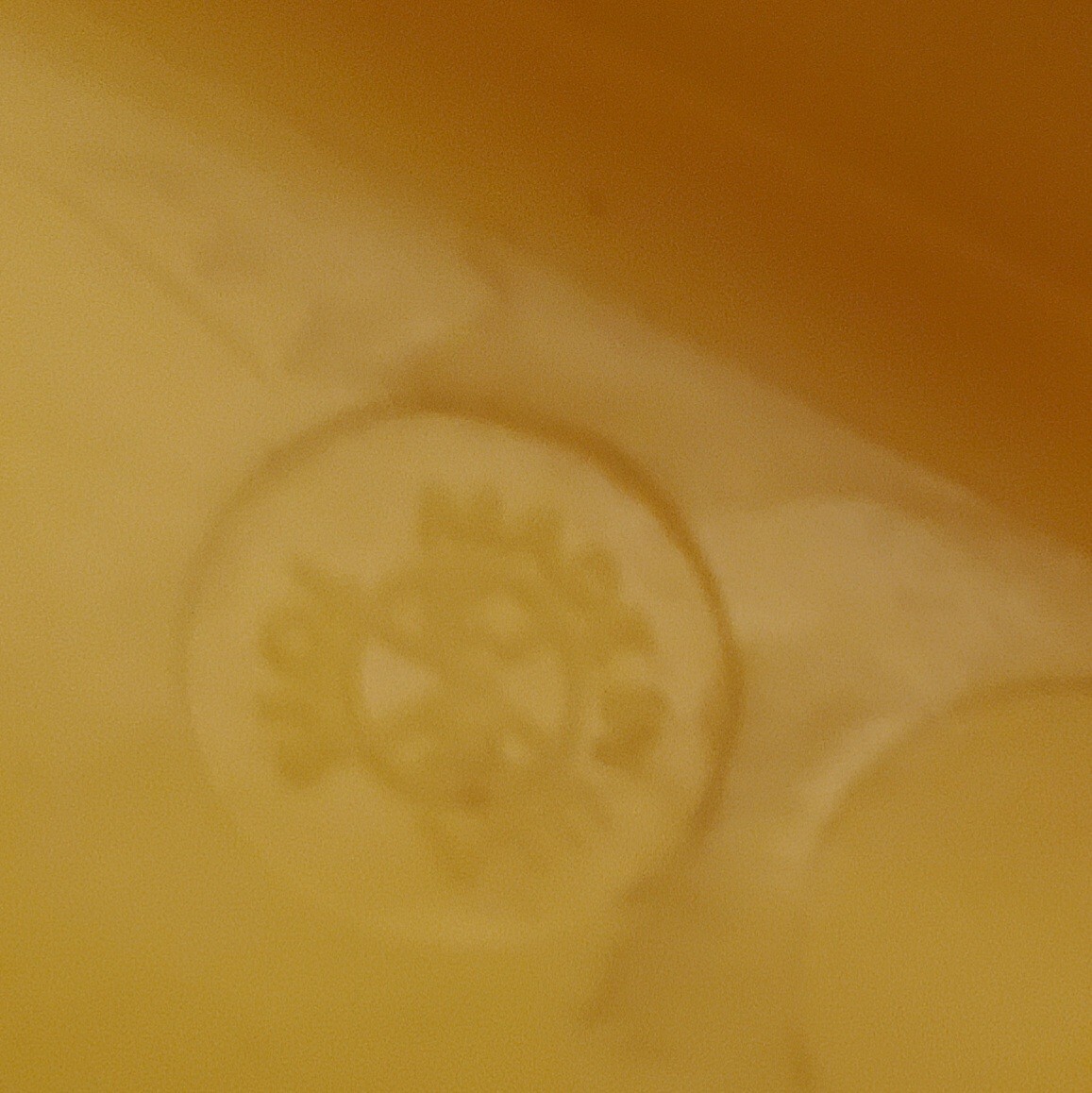 Picture 7 of 7