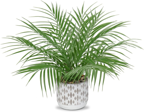 Large Artificial Potted Plants Fake Palm Plants 16" Faux Green Plant Plastic Cer - Picture 11 of 12