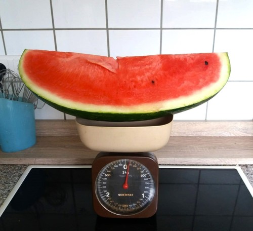 Wassermelone Melonen Samen Giant "FARAO" 7 Samen 1.80€ - Bild 9 von 9