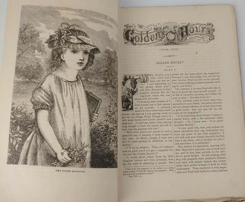 Golden Hours A Magazine for Boys and Girls June 1875 - Picture 4 of 6
