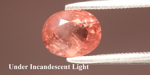 💎 1,86ct ovaler natürlicher Farbwechsel Granat - unbeheizt, Madagaskar Edelstein - Bild 3 von 6