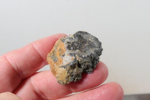 Montana Bear Canyon Agate 1.1 oz  Two Piece faced rough lot G - Picture 8 of 14
