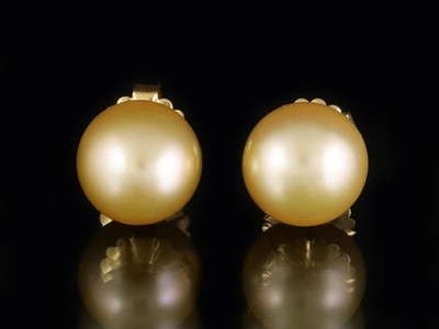 Goldene Südsee Perlen Ohrstecker ca. 12,7mm  750/- Gelbgold mit großer Ohrmutter