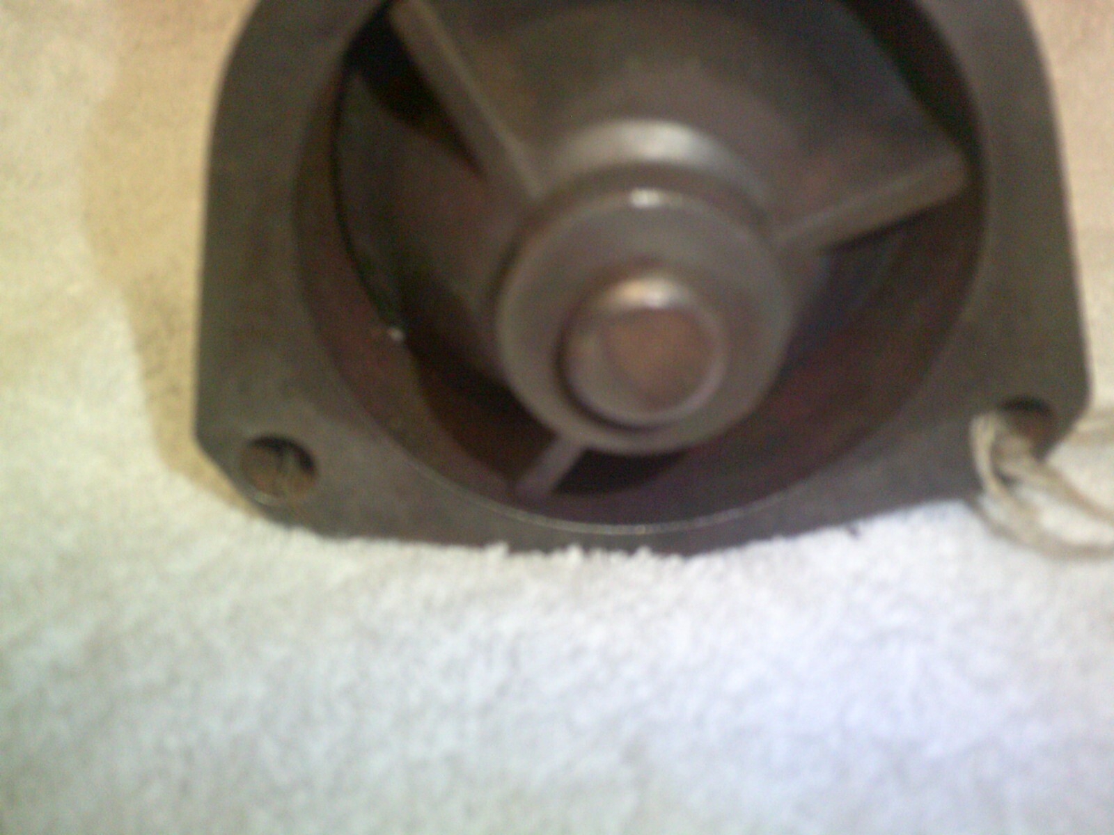 Picture 6 of 6