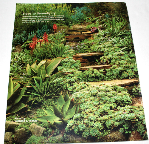 Taunton's Fine Gardening Magazine December 1995 No 46 - Picture 2 of 7