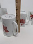 Foto 13 di 13