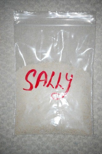 T0P SELLER 0RIGINAL,SAN FRANCISC0 S0URD0UGH, STARTeR- "sally" relist - Picture 2 of 10