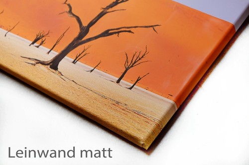 Fotografie Namibia, Elefant # 9092, Fotoabzug matt, 60 x 40 cm - Bild 5 von 7