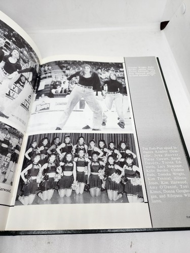 Delta State University 1994 The Broom Yearbook. Cleveland, Mississippi. - Picture 17 of 24