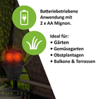 Bild 5 von 8