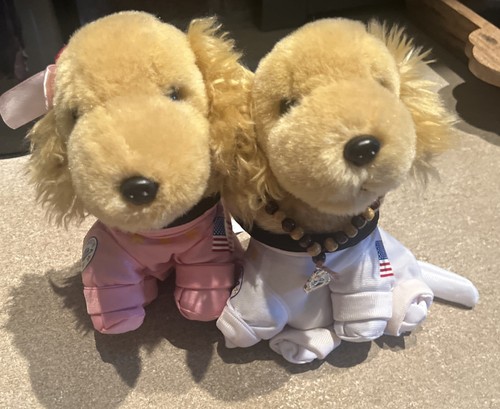 Walt Disney Space Buddies Rosebud & Budda Dog Astronaut 6” Plush Animal EUC